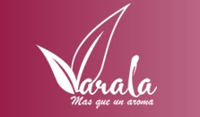 Difushion Masiva S.L.
